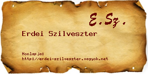 Erdei Szilveszter névjegykártya